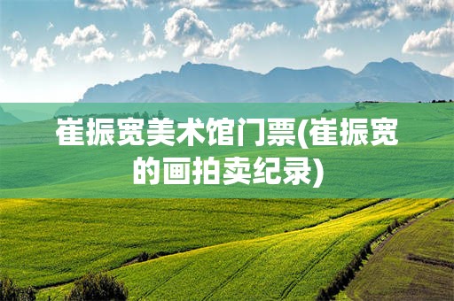 崔振宽美术馆门票(崔振宽的画拍卖纪录)