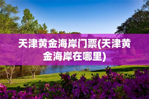 天津黄金海岸门票(天津黄金海岸在哪里)