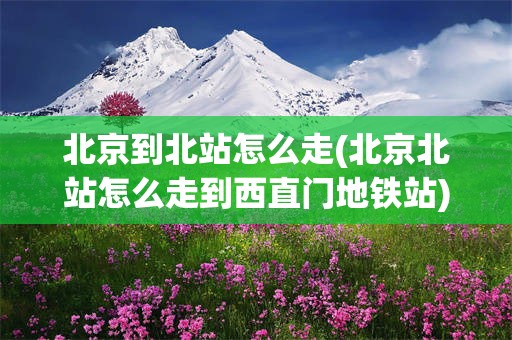 北京到北站怎么走(北京北站怎么走到西直门地铁站)
