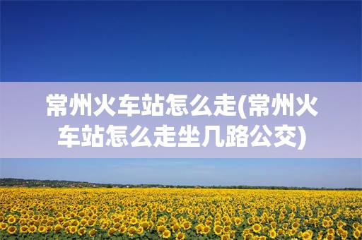 常州火车站怎么走(常州火车站怎么走坐几路公交)
