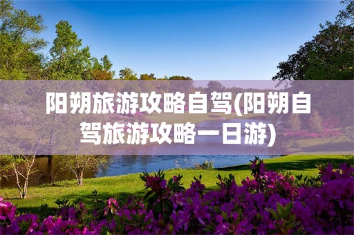 阳朔旅游攻略自驾(阳朔自驾旅游攻略一日游)