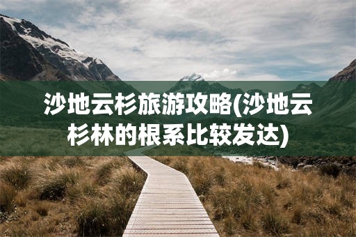 沙地云杉旅游攻略(沙地云杉林的根系比较发达)