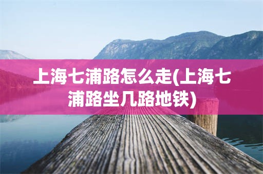 上海七浦路怎么走(上海七浦路坐几路地铁)