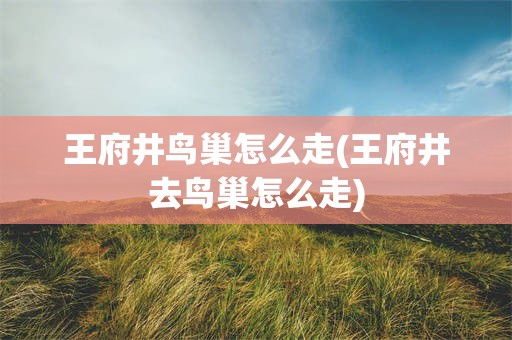 王府井鸟巢怎么走(王府井去鸟巢怎么走)