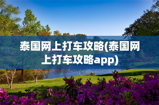泰国网上打车攻略(泰国网上打车攻略app)