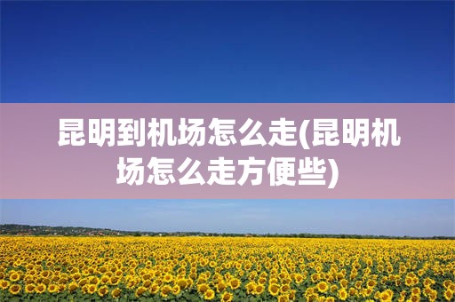 昆明到机场怎么走(昆明机场怎么走方便些)