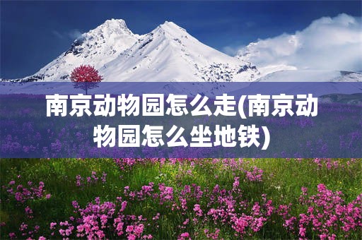 南京动物园怎么走(南京动物园怎么坐地铁)