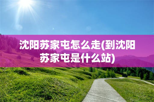 沈阳苏家屯怎么走(到沈阳苏家屯是什么站)
