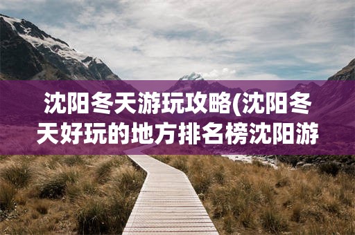 沈阳冬天游玩攻略(沈阳冬天好玩的地方排名榜沈阳游玩攻略)
