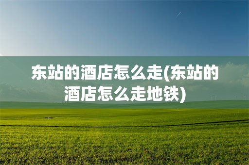 东站的酒店怎么走(东站的酒店怎么走地铁)