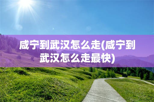 咸宁到武汉怎么走(咸宁到武汉怎么走最快)