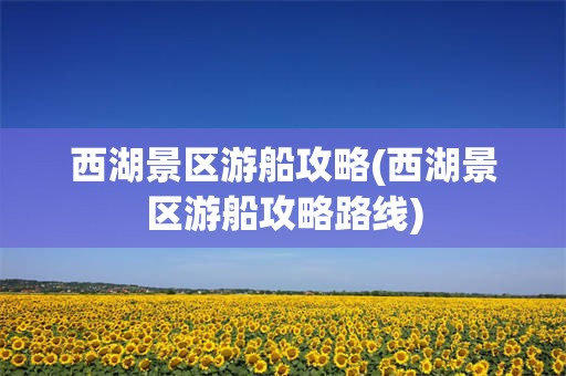 西湖景区游船攻略(西湖景区游船攻略路线)