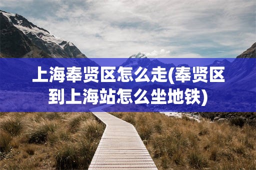上海奉贤区怎么走(奉贤区到上海站怎么坐地铁)