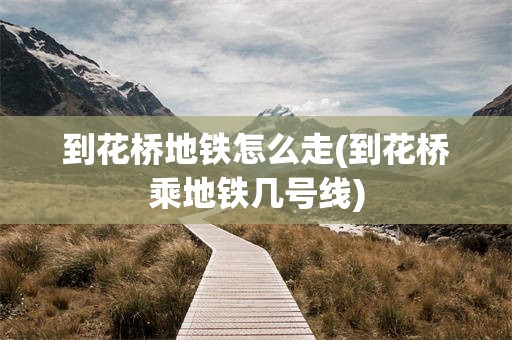 到花桥地铁怎么走(到花桥乘地铁几号线)