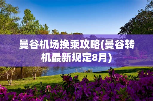 曼谷机场换乘攻略(曼谷转机最新规定8月)