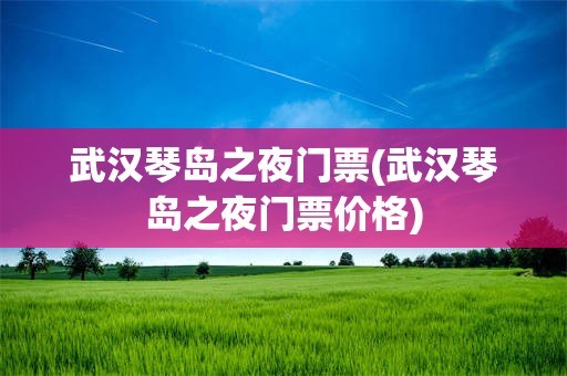 武汉琴岛之夜门票(武汉琴岛之夜门票价格)