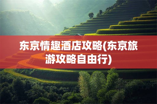 东京情趣酒店攻略(东京旅游攻略自由行)