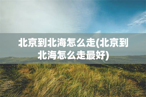 北京到北海怎么走(北京到北海怎么走最好)