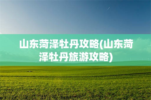 山东菏泽牡丹攻略(山东菏泽牡丹旅游攻略)