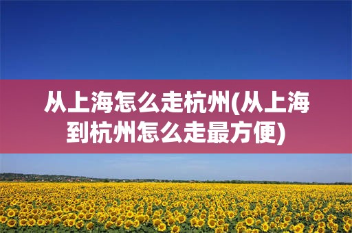 从上海怎么走杭州(从上海到杭州怎么走最方便)