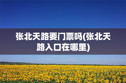 张北天路要门票吗(张北天路入口在哪里)