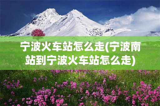 宁波火车站怎么走(宁波南站到宁波火车站怎么走)
