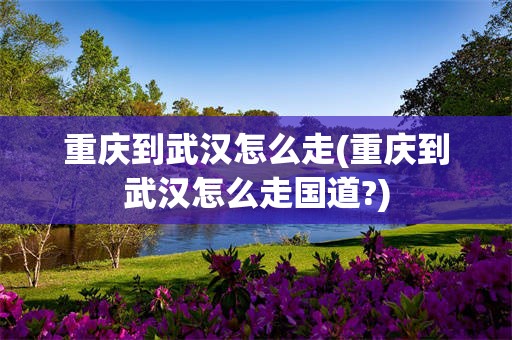 重庆到武汉怎么走(重庆到武汉怎么走国道?)