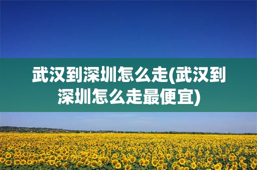 武汉到深圳怎么走(武汉到深圳怎么走最便宜)