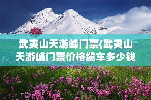 武夷山天游峰门票(武夷山天游峰门票价格缆车多少钱)