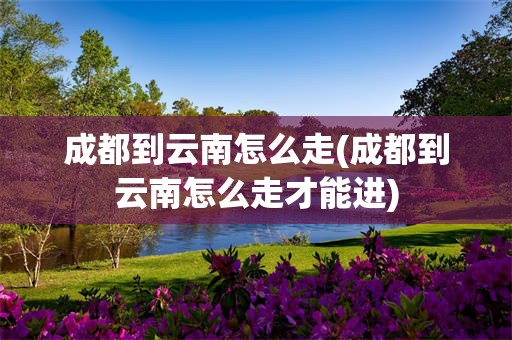 成都到云南怎么走(成都到云南怎么走才能进)