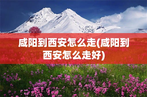 咸阳到西安怎么走(咸阳到西安怎么走好)
