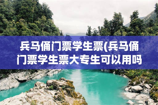 兵马俑门票学生票(兵马俑门票学生票大专生可以用吗)