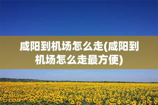 咸阳到机场怎么走(咸阳到机场怎么走最方便)
