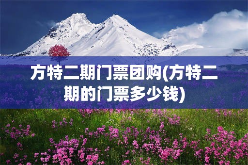 方特二期门票团购(方特二期的门票多少钱)