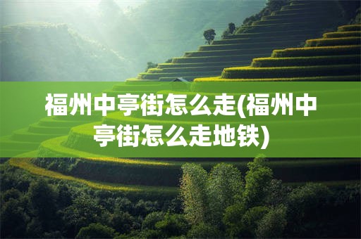 福州中亭街怎么走(福州中亭街怎么走地铁)