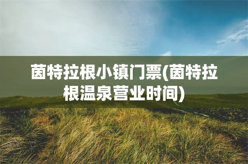 茵特拉根小镇门票(茵特拉根温泉营业时间)