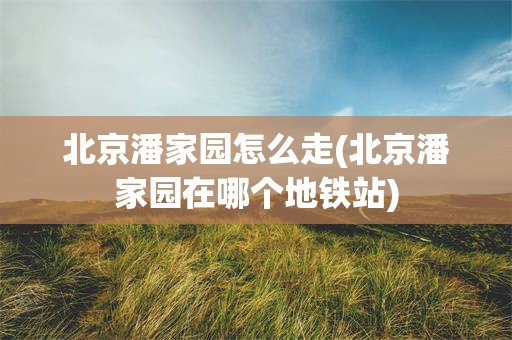 北京潘家园怎么走(北京潘家园在哪个地铁站)