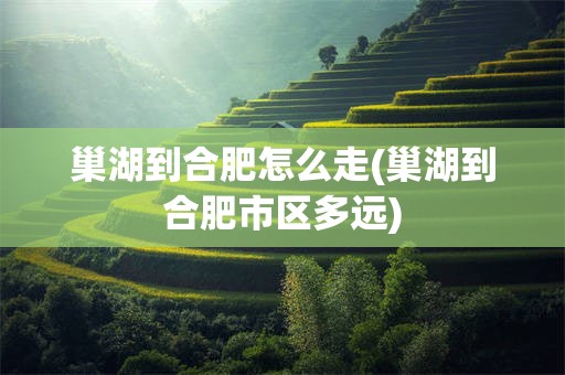 巢湖到合肥怎么走(巢湖到合肥市区多远)