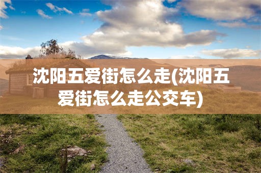 沈阳五爱街怎么走(沈阳五爱街怎么走公交车)