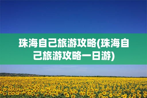 珠海自己旅游攻略(珠海自己旅游攻略一日游)