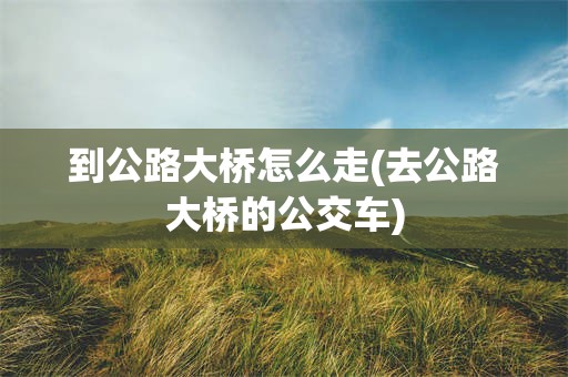 到公路大桥怎么走(去公路大桥的公交车)
