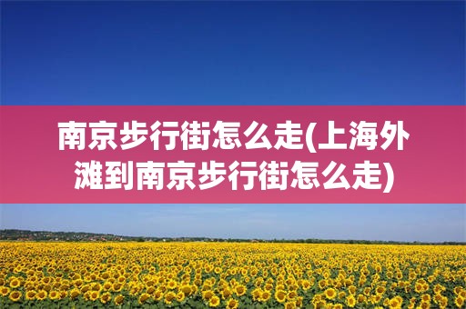 南京步行街怎么走(上海外滩到南京步行街怎么走)