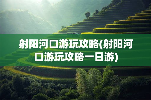 射阳河口游玩攻略(射阳河口游玩攻略一日游)