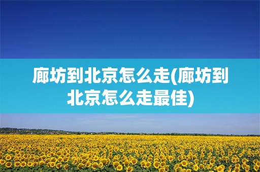 廊坊到北京怎么走(廊坊到北京怎么走最佳)