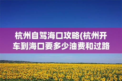 杭州自驾海口攻略(杭州开车到海口要多少油费和过路费)