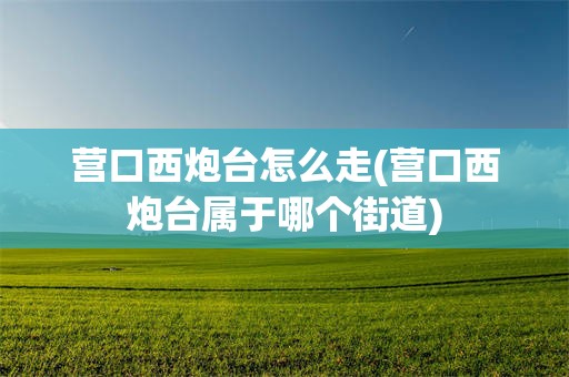 营口西炮台怎么走(营口西炮台属于哪个街道)