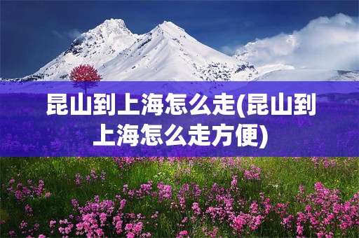 昆山到上海怎么走(昆山到上海怎么走方便)