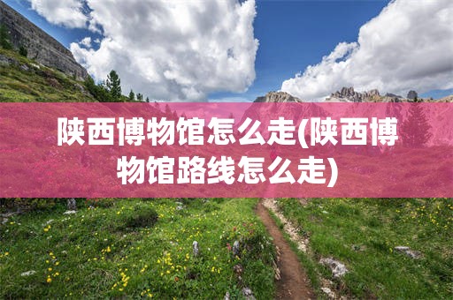 陕西博物馆怎么走(陕西博物馆路线怎么走)