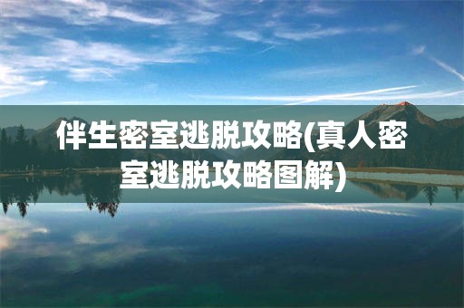 伴生密室逃脱攻略(真人密室逃脱攻略图解)