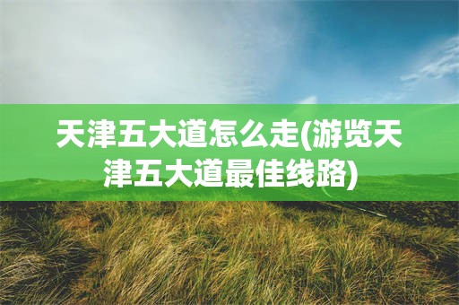 天津五大道怎么走(游览天津五大道最佳线路)